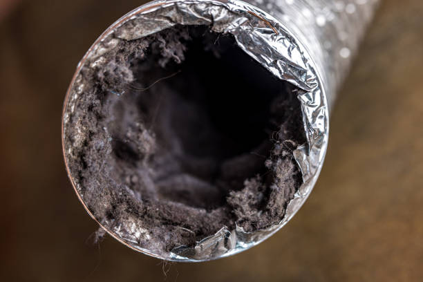 Best Commercial HVAC Duct Cleaning  in Argyle, TX