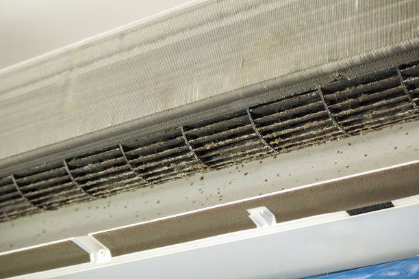 Best Air Duct Cleaning Near Me in TX